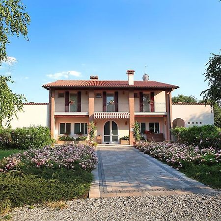 Agriturismo Il Magicorto Cassola Kültér fotó