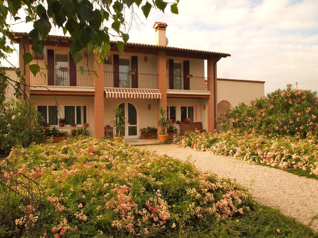 Agriturismo Il Magicorto Cassola Kültér fotó