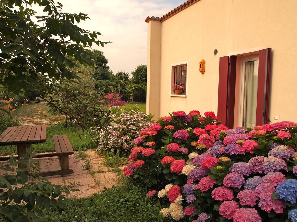 Agriturismo Il Magicorto Cassola Szoba fotó