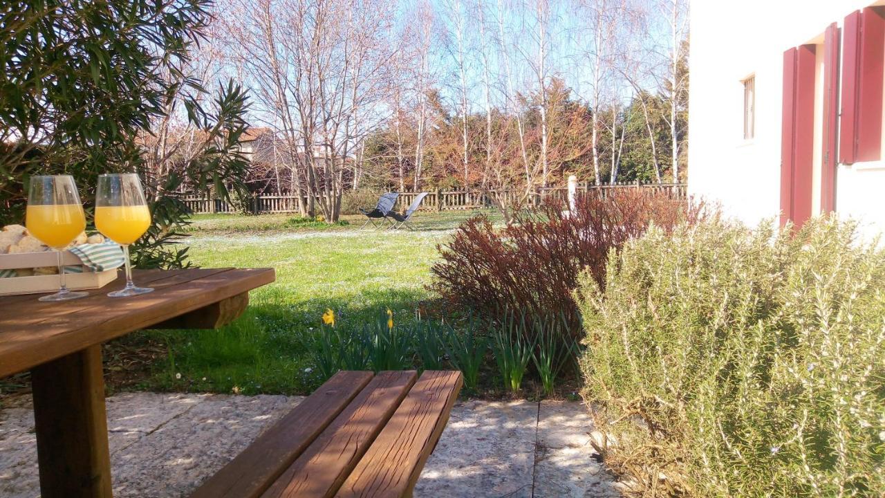 Agriturismo Il Magicorto Cassola Kültér fotó