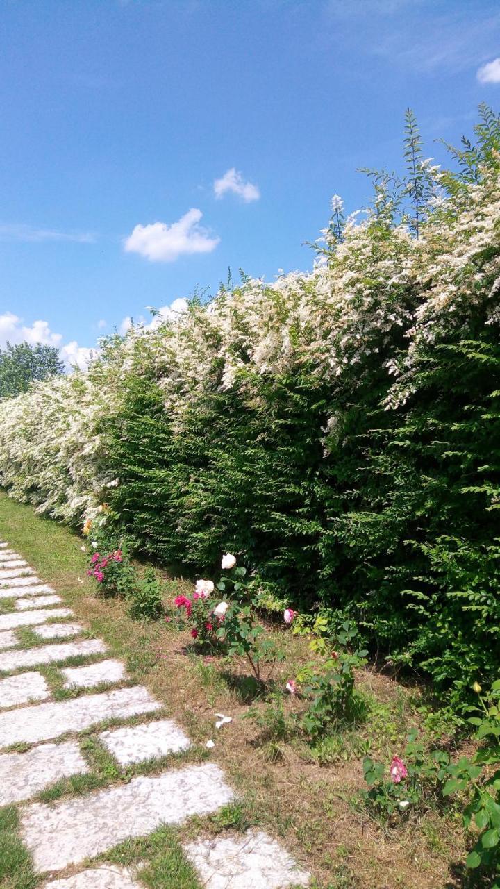 Agriturismo Il Magicorto Villa Cassola Kültér fotó