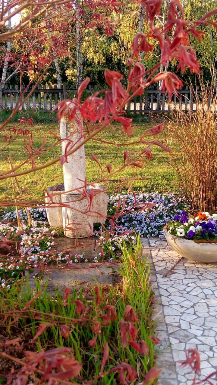 Agriturismo Il Magicorto Cassola Kültér fotó