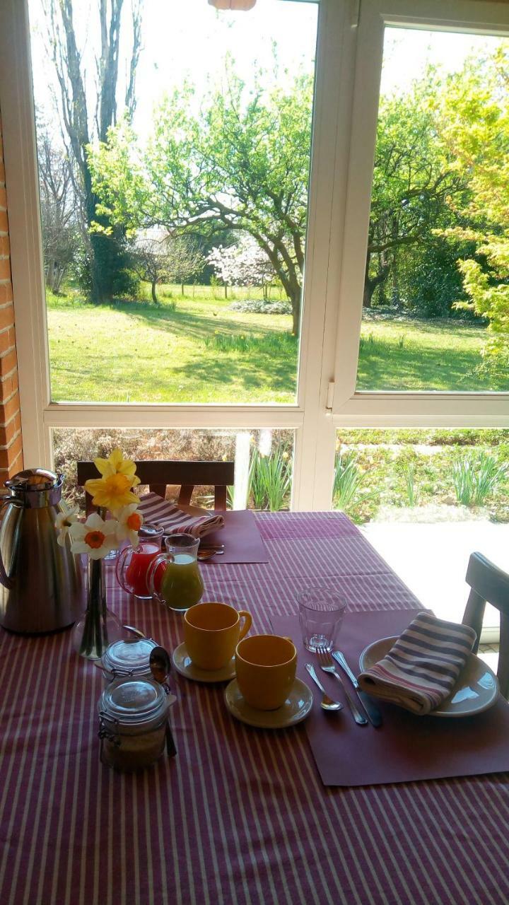 Agriturismo Il Magicorto Cassola Kültér fotó